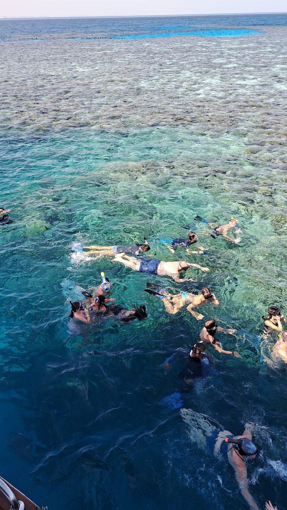 From Hurghada: Swim with Wild Dolphins at Dolphin House (Boat Trip & Lunch)