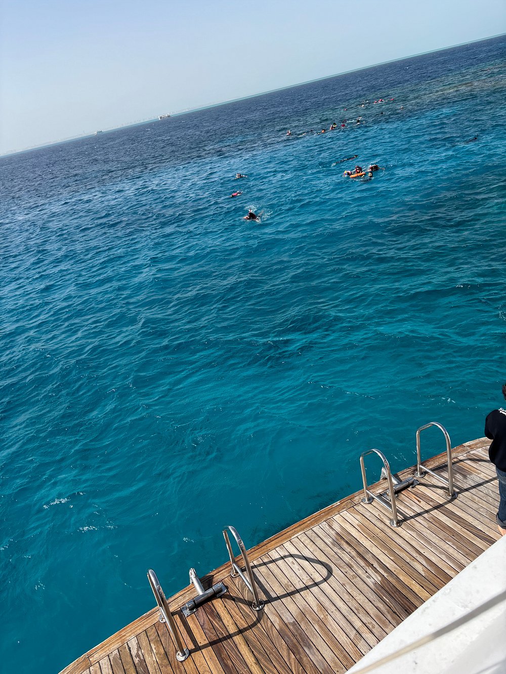 From Hurghada: Swim with Wild Dolphins at Dolphin House (Boat Trip & Lunch)