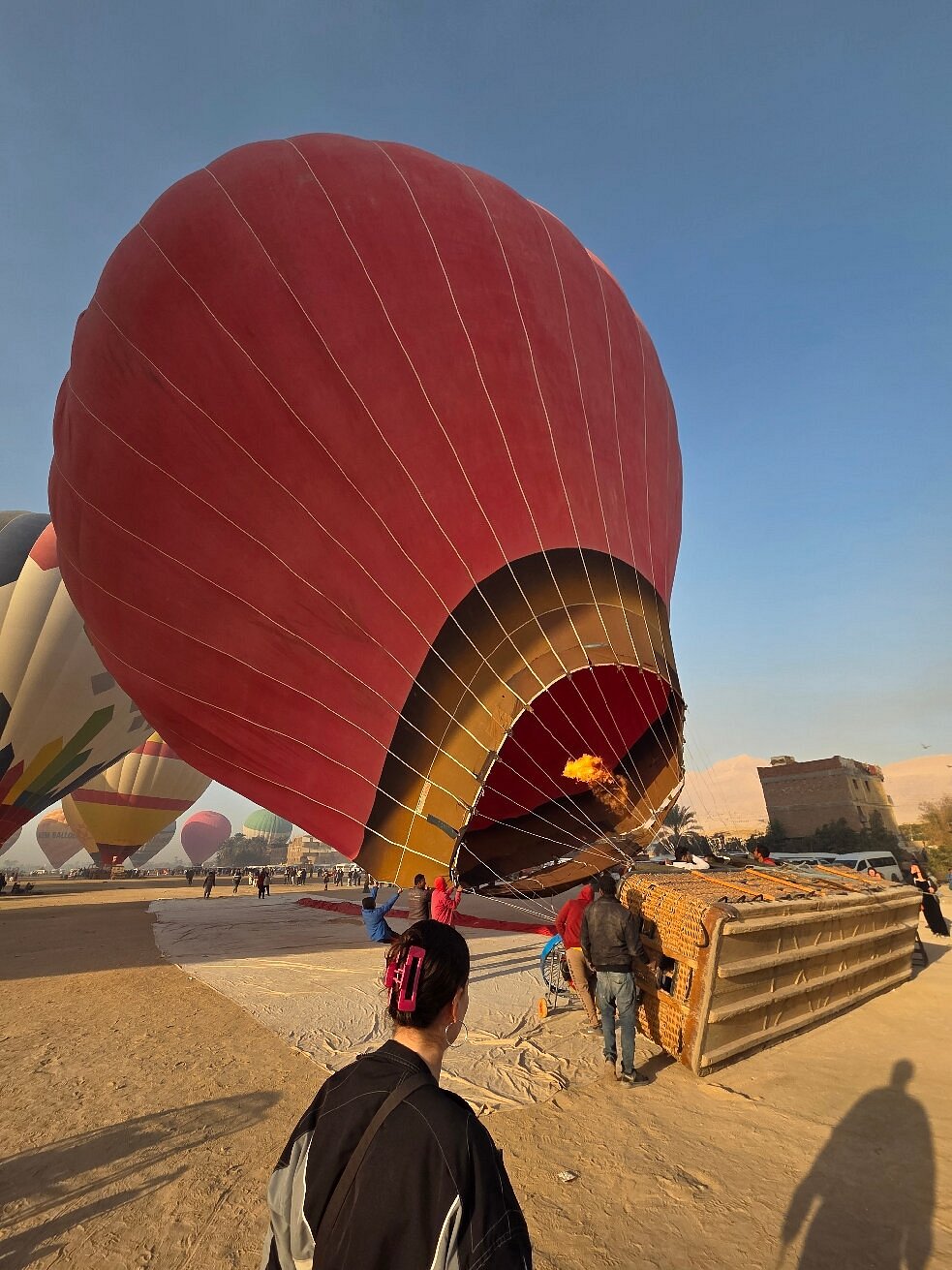 🎈 Tour Title: VIP Luxor Gold Edition: Sunrise Hot Air Balloon & Full-Day Private Wonders