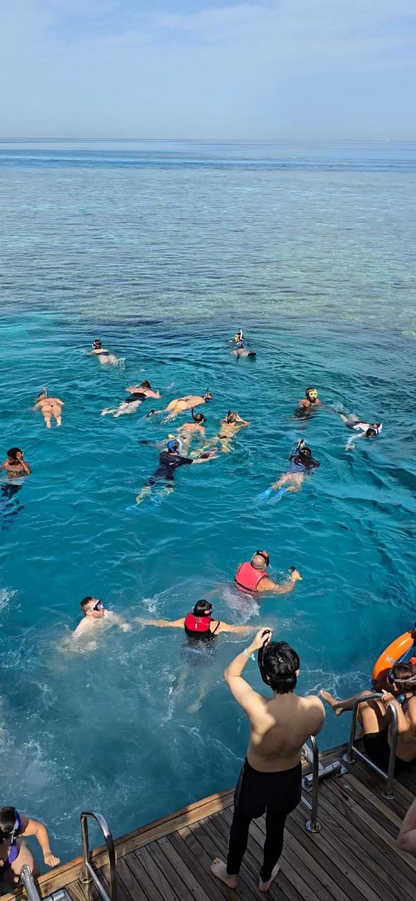 🏜️ Tour Title: VIP Private Land Expedition: Ras Mohamed National Park & The Magic Lake