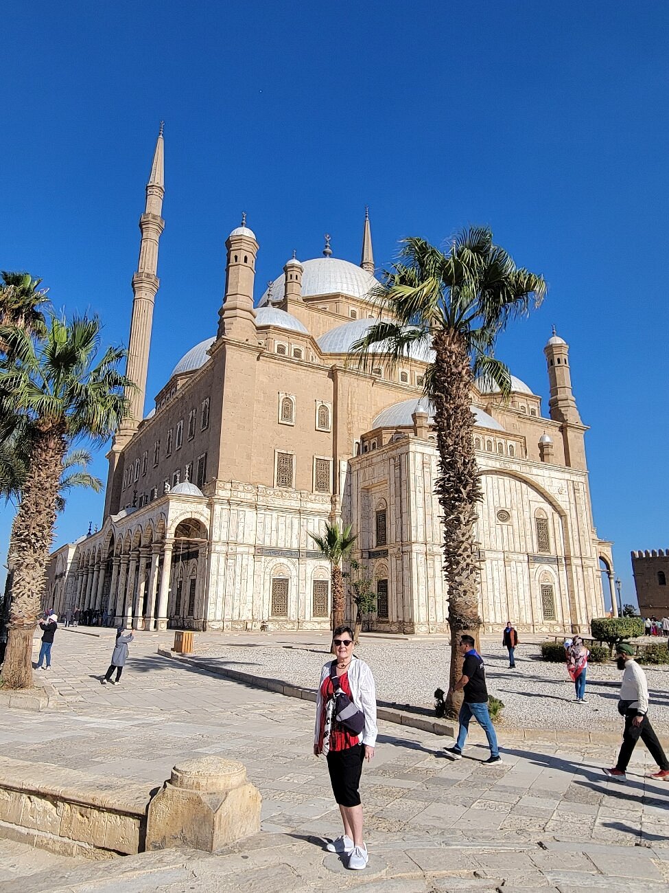 Tour Title: The Grand Legacy: Grand Egyptian Museum & Giza Pyramids Private Tour