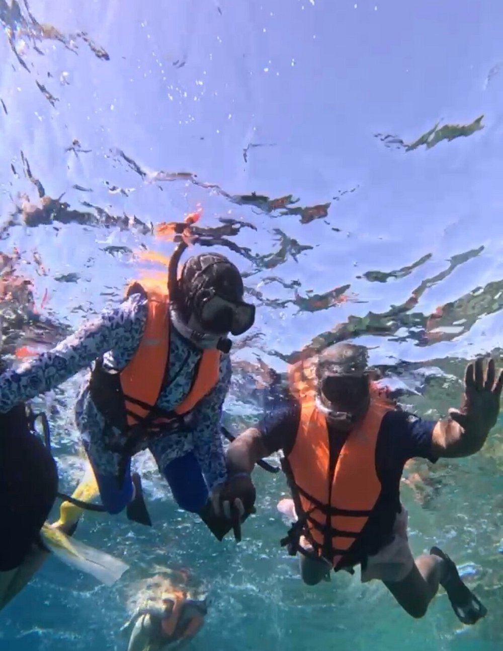 🏜️ Tour Title: VIP Private Land Expedition: Ras Mohamed National Park & The Magic Lake