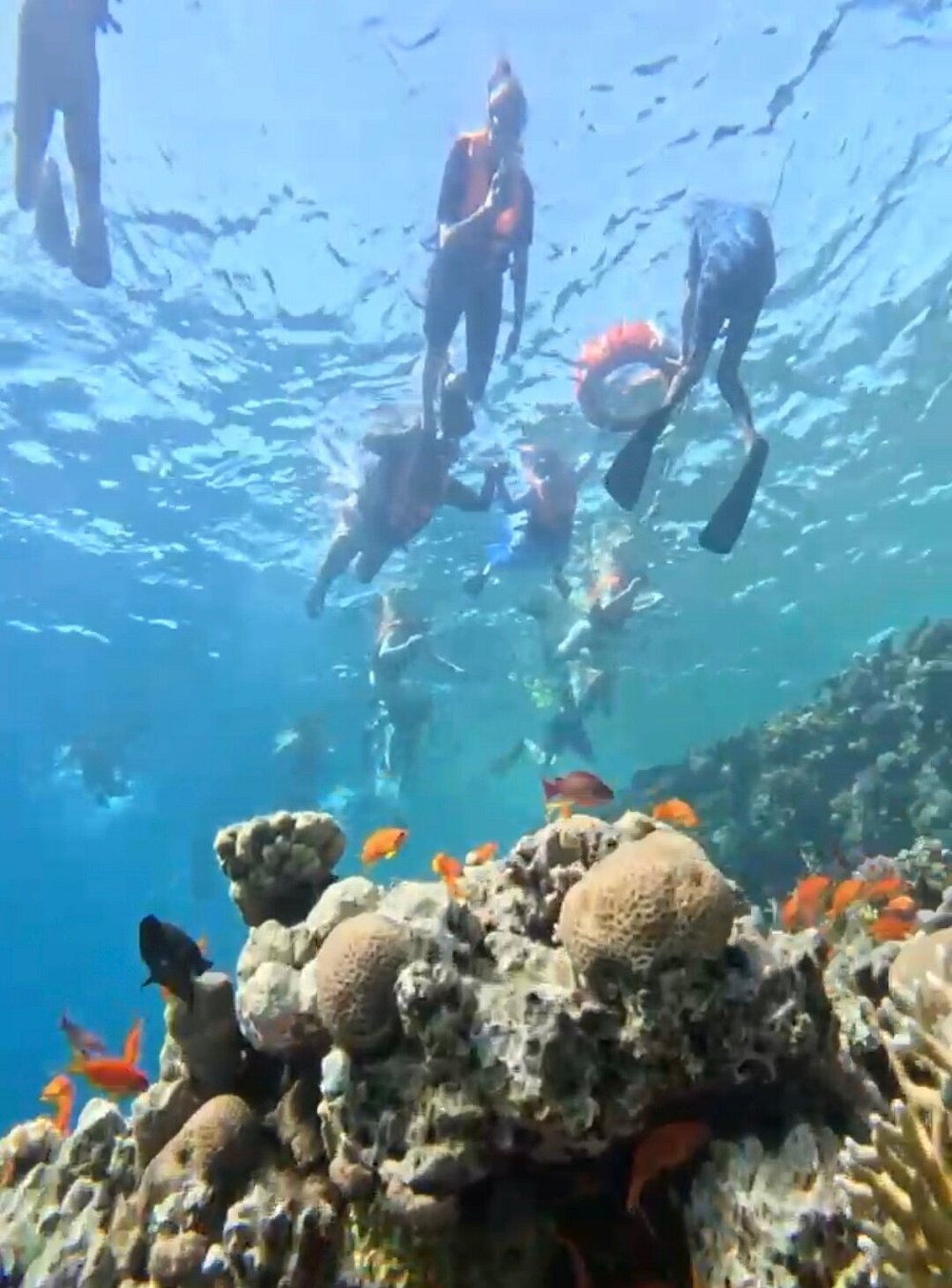 🏜️ Tour Title: VIP Private Land Expedition: Ras Mohamed National Park & The Magic Lake