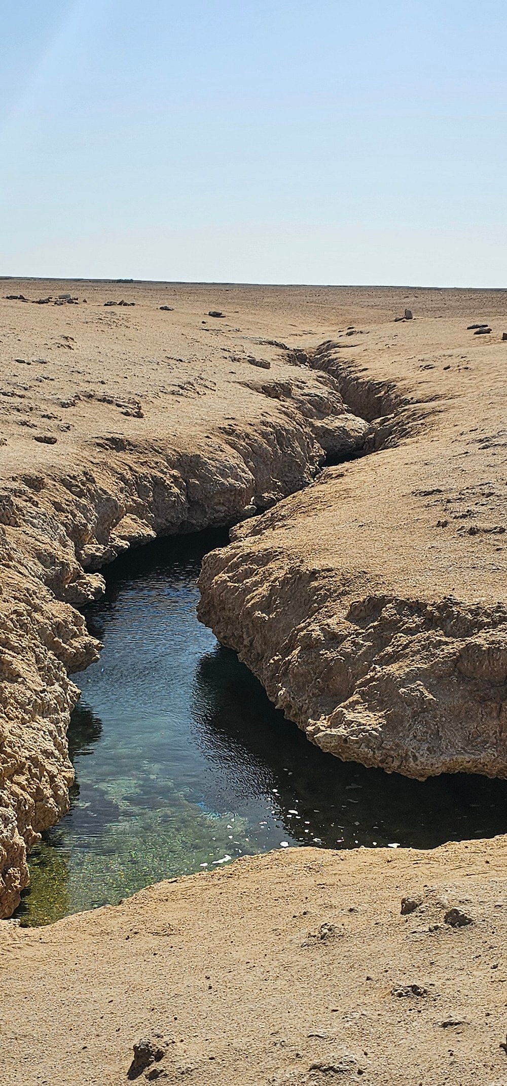 🏜️ Tour Title: VIP Private Land Expedition: Ras Mohamed National Park & The Magic Lake